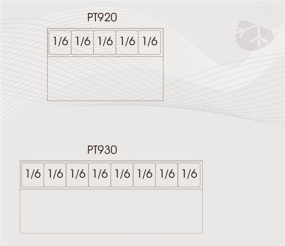 PT920